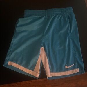 Nike Sky Blue Sports Shorts